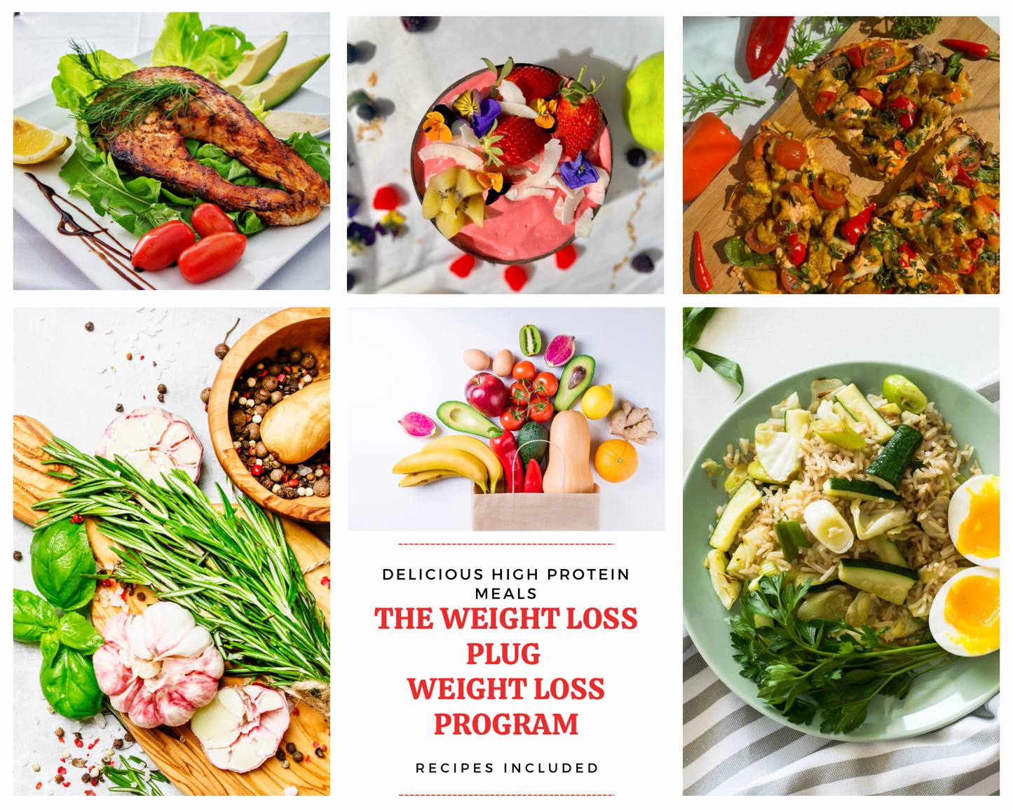 The weight loss plug: weight loss program